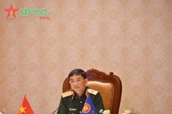 Hội nghị trực tuyến ADSOM WG và ADSOM+ WG