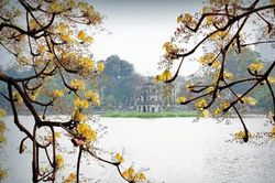 Chiếc lá giao mùa