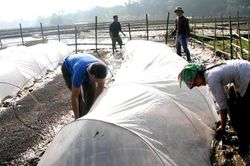 Kè suối chống mất mùa cho bà con vùng cao mùa mưa lũ
