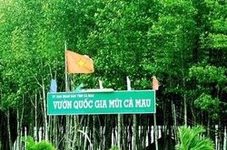 Nguyên Giám đốc Vườn quốc gia Mũi Cà Mau bị bắt vì tham ô hơn 6,5 tỷ đồng