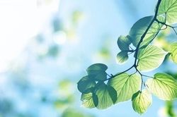 Cách khôn ngoan nhất để hòa hợp với người thân là nắm được 2 điểm này