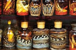Nguy cơ tiềm ẩn từ rượu thuốc, rượu ngâm động vật giúp nam giới 'khỏe như mãnh hổ'
