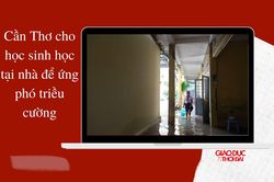 Cần Thơ cho học sinh học tại nhà để ứng phó triều cường
