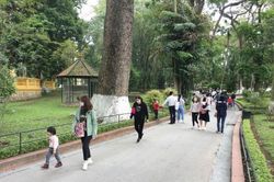 Đời sống Thăm Hà Nội trong những ngày mùa Thu lịch sử…