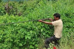 Đi săn thú, bắn nhầm người bẫy gà