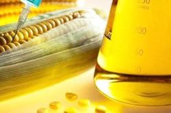 Đường lỏng từ siro ngô tàn phá sức khỏe thế nào?