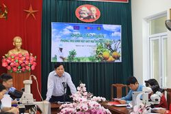 EU hỗ trợ Việt Nam cải thiện độ an toàn cho nông sản xuất khẩu
