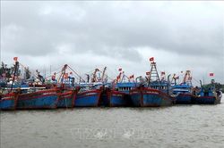 Khắc phục 'thẻ vàng' IUU: Quảng Ngãi đầu tư đồng bộ hạ tầng cảng cá