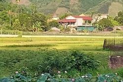 Tình yêu của anh