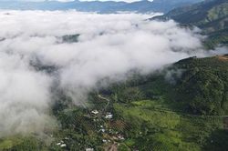 Săn mây ở Khánh Sơn