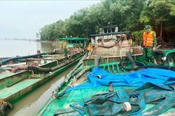 Bắt giữ 3 phương tiện khai thác cát trái phép ở biển Cần Giờ
