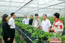Kiểm tra thực hiện các tiêu chí nông thôn mới nâng cao