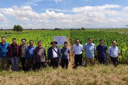 Khẳng định vai trò dẫn dắt trong chuỗi giá trị sản xuất kinh doanh thuốc lá