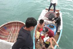 Dịch sốt xuất huyết bùng phát mùa biển động, huyện đảo Lý Sơn họp khẩn