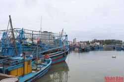 Một tàu cá Quảng Ngãi hỏng máy đang được lai dắt