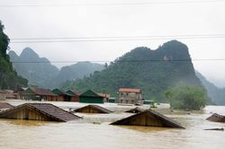 Chủ động hỗ trợ nhân dân ứng phó với mưa lũ tại miền Trung