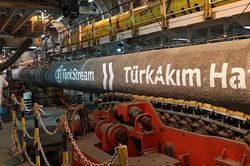 Nga bắt giữ các nghi phạm phá hủy đường ống TurkStream