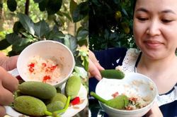 Thứ quả xưa rụng đầy không ai nhặt, giờ lại thành đặc sản 'hot' trên mạng
