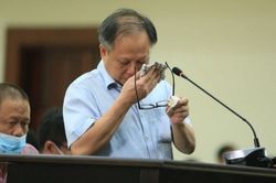 Ông Tất Thành Cang bật khóc tại tòa, xin giảm nhẹ hình phạt cho cấp dưới