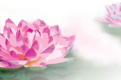Lăng-già nở hoa