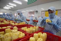 Xuất khẩu rau quả năm 2022 khó bứt phá