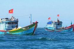 Yêu cầu tàu thuyền thoát khỏi vùng nguy hiểm, tránh bão Nesat