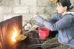 Chính trị - Xã hội An sinh xã hội Chị Yến thoát nghèo
