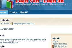 Chuyên gia giáo dục: Luận án 'tiến sĩ cầu lông' không xứng tầm để sửa