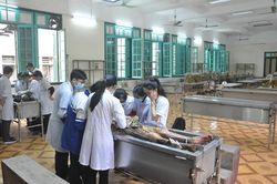 Giải phẫu người qua câu chuyện của một cựu sinh viên Đại học Y Hà Nội
