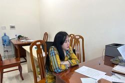Tina Dương nộp 148 triệu khắc phục hậu quả trước khi bị bắt