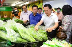 Khảo sát chuỗi nông sản an toàn tại TP Hồ Chí Minh