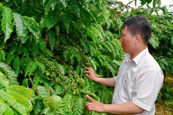 Nông nghiệp hiện đại, toàn diện, bền vững - những bài học kinh nghiệm (bài 1)