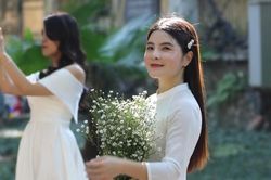 Hoa thạch thảo điểm tô sắc thu Hà Nội
