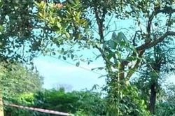 Bắt được đối tượng chém người đàn ông tử vong trong rẫy vắng