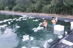 Kinh tế Nông nghiệp - Nông thôn Nỗi lo dịch bệnh tôm nuôi trên cát