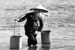 Chuyện nhà tôi