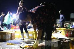 Hối hả bán hải sản tại cảng lớn nhất Hà Tĩnh trước giờ bão số 6 đổ bộ