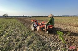 Thời tiết thuận lợi, nông dân Hà Tĩnh xuống đồng làm rau màu vụ đông