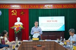 Quản lý và sử dụng nhãn hiệu tập thể 'Sen Huế'