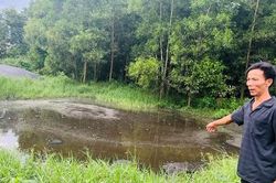 Hồi âm bài báo 'Đắk Lắk: Trang trại chăn nuôi quy mô lớn gây ô nhiễm môi trường'