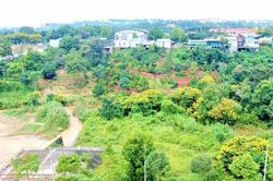 Đắk Nông: Triệt tiêu quy hoạch treo, không 'hợp thức hóa' sai phạm