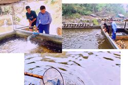 Trở lại Tả Trung Hồ