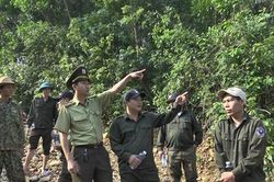Vĩnh Linh: Kiểm tra 7 tiểu khu thuộc địa phận rừng xã Vĩnh Hà, Vĩnh Ô