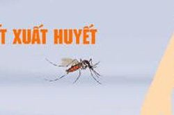 Cảnh báo dịch sốt xuất huyết gia tăng trong tháng 11, 12