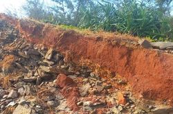 Quảng Ngãi: Triều cường gây sạt lở, uy hiếp nhà dân ven biển