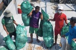 Mô hình 'Đoàn tàu cá chống rác thải nhựa đại dương' tại Phú Quốc