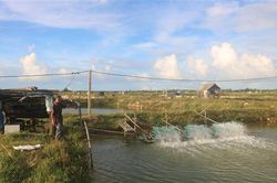 Tọa đàm 'Giải pháp sinh kế thích ứng và giảm thiểu rủi ro thiên tai tại cộng đồng'