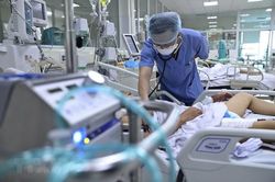 Sức khỏe bé gái 4 tuổi nhiễm cúm gia cầm ở Phú Thọ hiện thế nào?