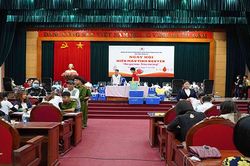 Những giọt máu hồng từ tấm lòng