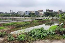 Loay hoay đấu giá quyền sử dụng đất